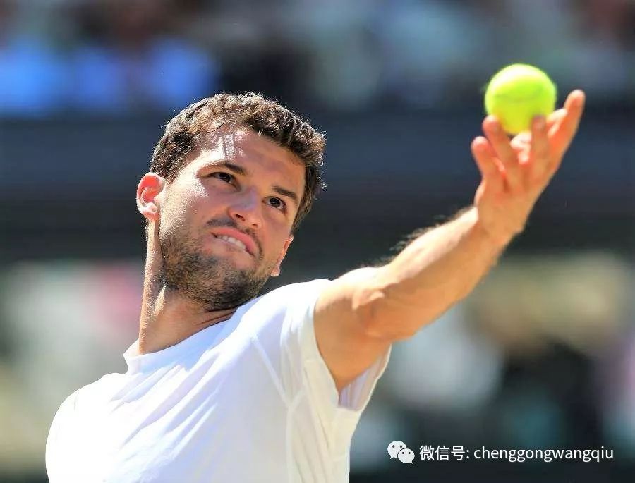 和团队文化 和团队文化