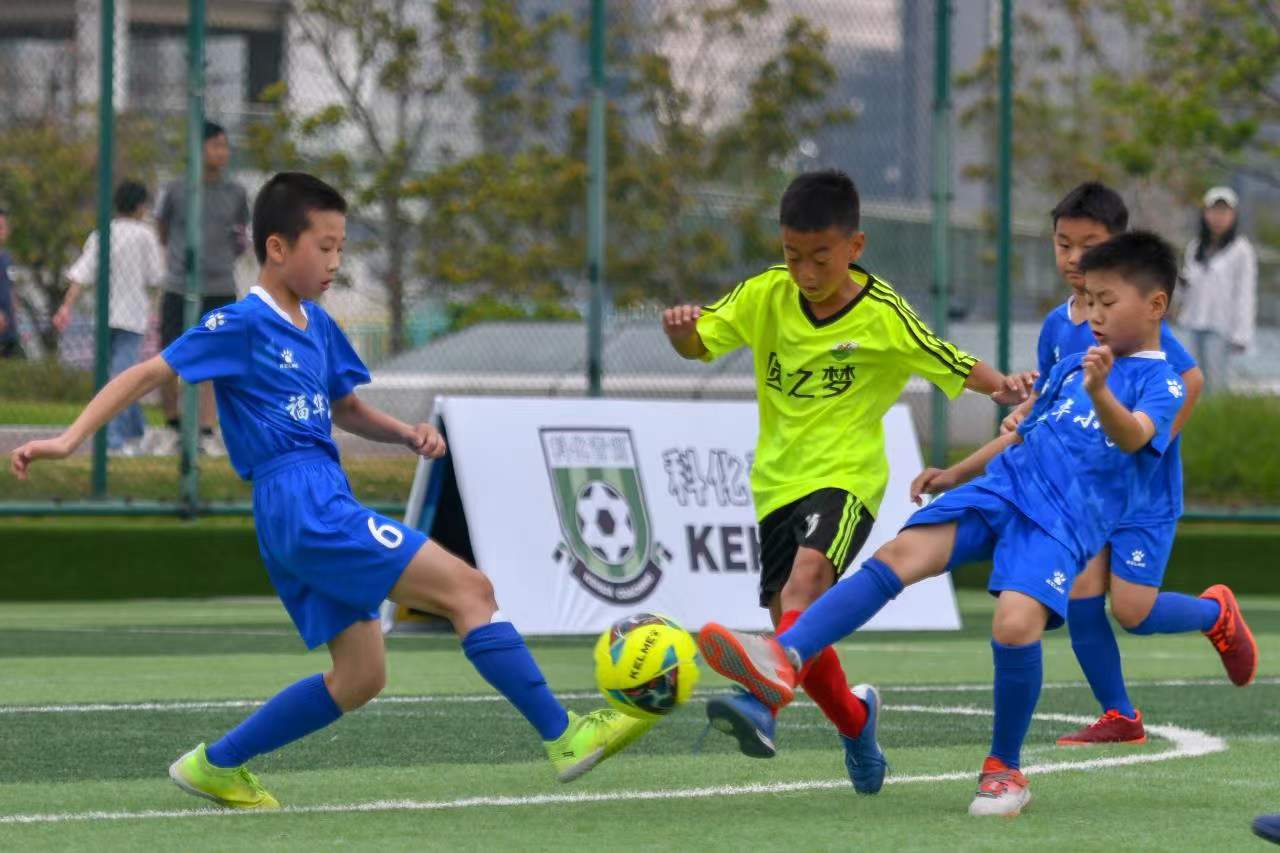 起背后离不 起背后离不